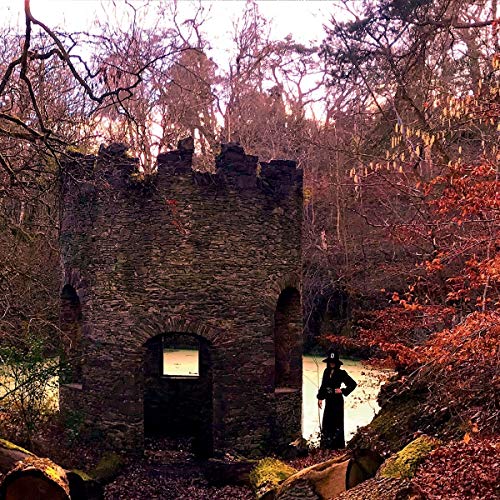 Stone ruin with a person standing near trees in a forest.