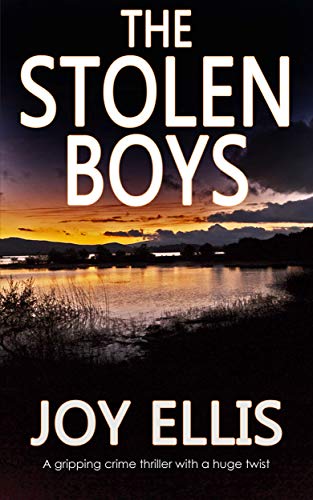 Book cover: "The Stolen Boys" with a landscape of mountains and water.
