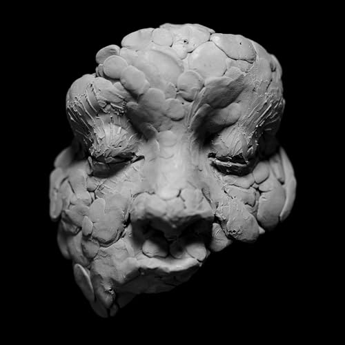 Textured, grayscale sculpture of a human face against a black background.