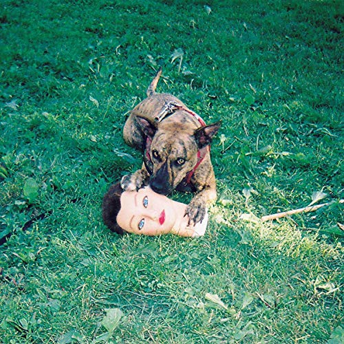 Dog on grass with mannequin head in its mouth.