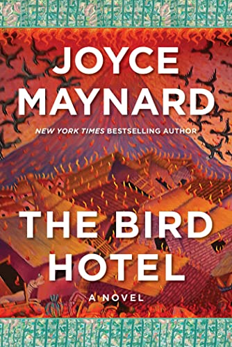 Book cover art showing a burning village and volcano with black birds flying overhead.