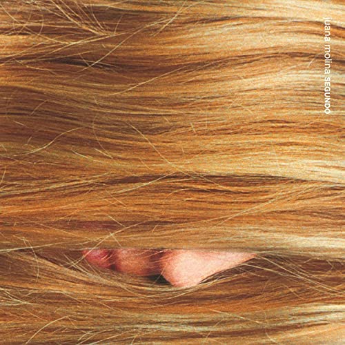 Close-up of long brown hair with a partially visible hand.