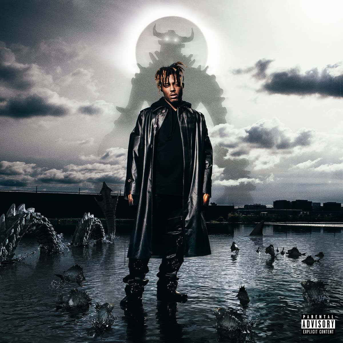 Juice WRLD album cover and two black vinyl records shown.