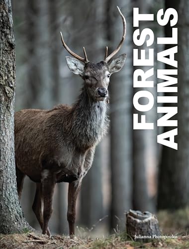 Book cover featuring a deer in a forest, titled "Forest Animals".