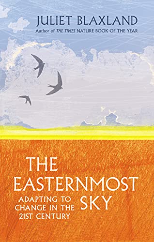 Book cover with birds flying over a landscape and yellow horizon.