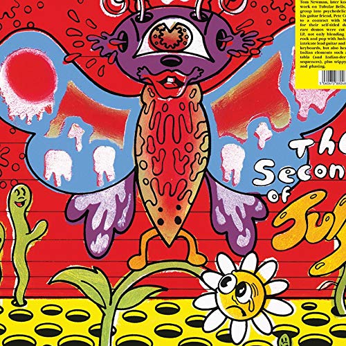 Psychedelic album cover featuring a large, colorful butterfly and floral elements.