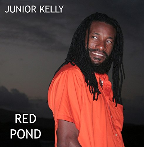 Junior Kelly album cover, portrait of a man with dreadlocks.