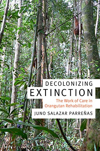 Book cover: orangutan in rainforest with title “Decolonizing Extinction.”
