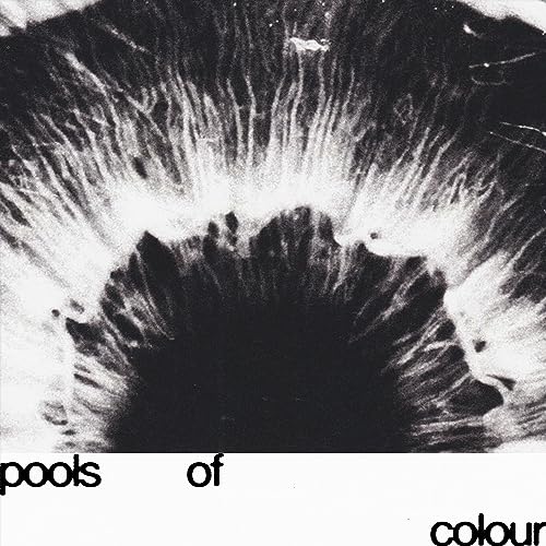 Black and white abstract image resembling an iris, with text below.