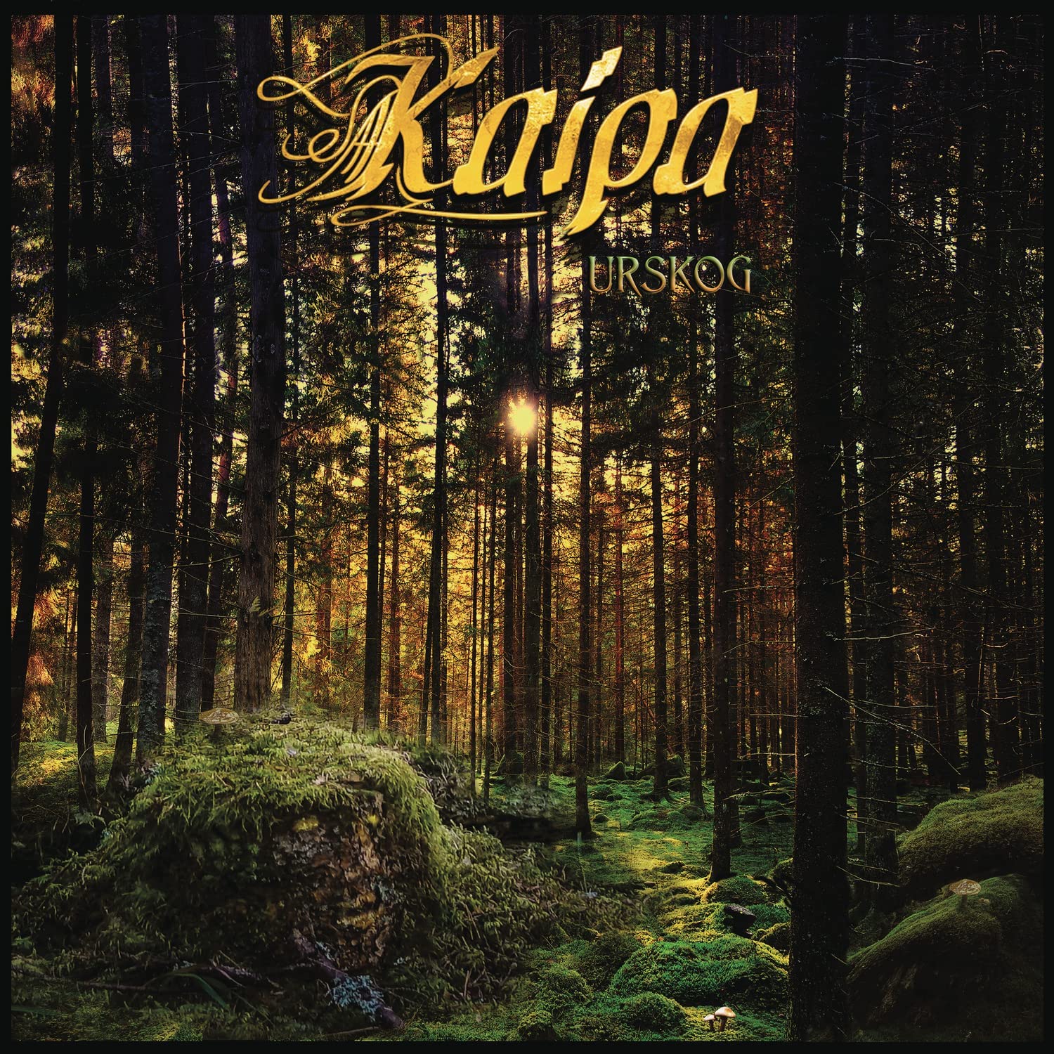 The alt text for the image is: "Album cover with forest scene and yellow text 'Kaipa Urskog'."
