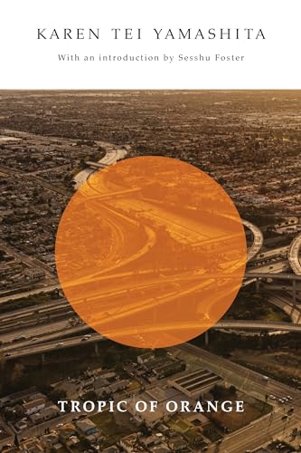 Book cover with aerial city view and large orange circle.