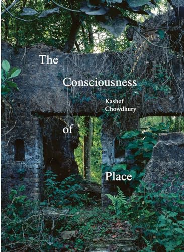 Book cover with crumbling stone ruins overgrown with lush green vegetation.