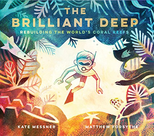 Book cover depicting a child diving amongst colorful coral and fish.