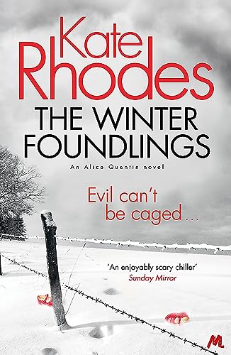 Book cover: snowy landscape with red shoes and barbed wire.