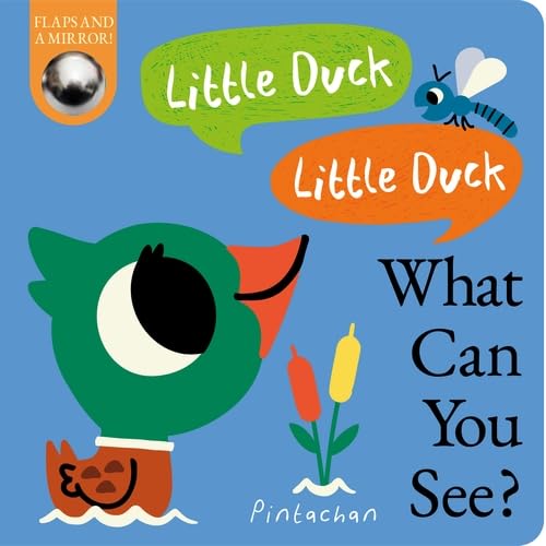 Book cover with a cartoon duck, dragonfly, and mirror for babies.