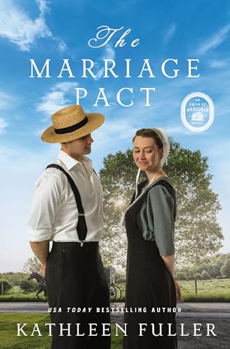 Book cover: couple in Amish clothing, rural landscape, blue sky.