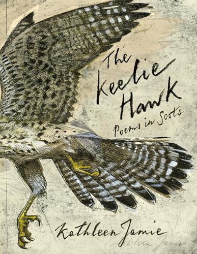 Book cover featuring a sketched hawk’s wings and title, “The Keelie Hawk.”
