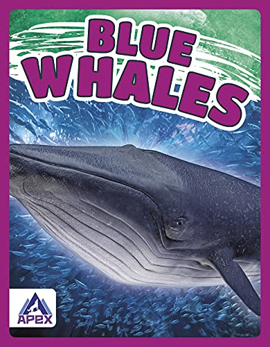Book cover featuring a blue whale swimming underwater, titled "Blue Whales".