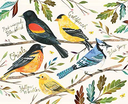 Five colorful illustrated birds perched on branches with leaves and handwritten species names.
