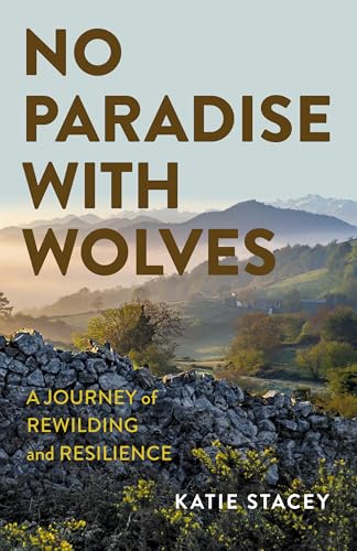 Book cover with mountainous landscape and stone wall in foreground.