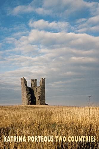Book cover: crumbling stone ruin in a golden field under a cloudy sky.