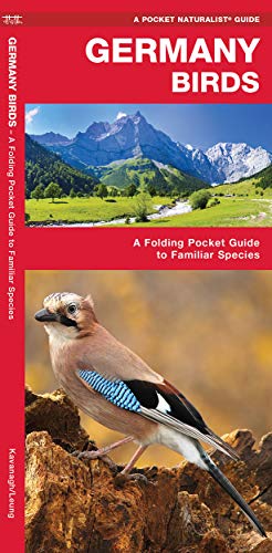 Red bird guide cover featuring a jay and mountain landscape.