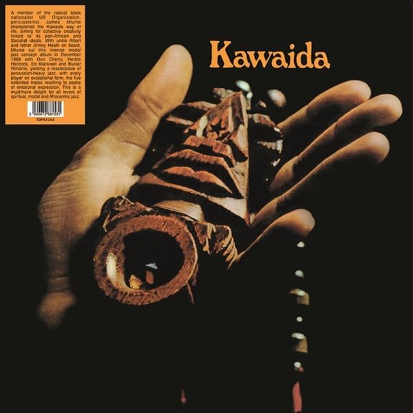 Vinyl record cover featuring a hand holding a moth with orange accents.