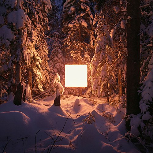 Snowy forest with a glowing white square suspended among the trees.