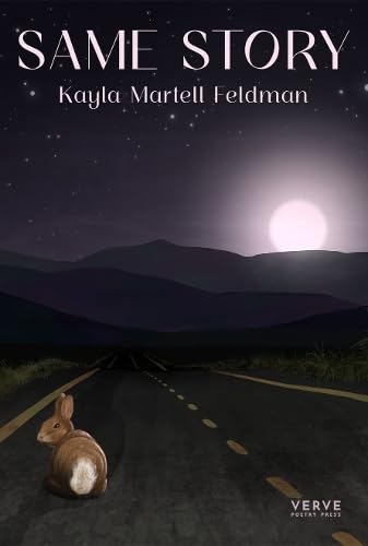 Book cover: "Same Story" with a rabbit on a road under a moon.
