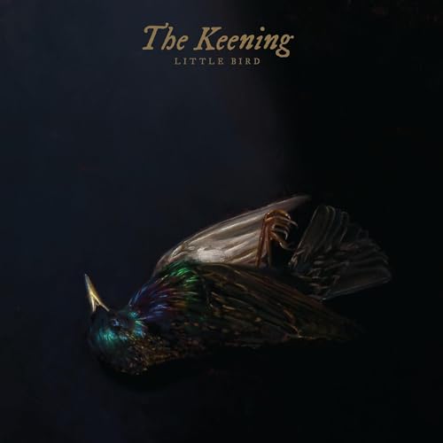 Dark album cover featuring a detailed, iridescent bird with outstretched wing.