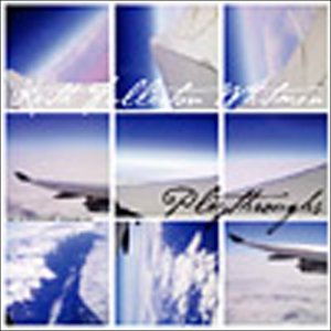 The image is a blurry, pixelated collage of nine photographs featuring an airplane wing. The alt text for this image could be: "Blurry collage of nine airplane wing photos with text overlay."