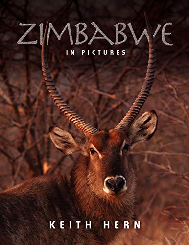 Book cover featuring a close-up of an impala with long horns.