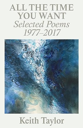 Book cover: “All the Time You Want” by Keith Taylor, with abstract blue art.