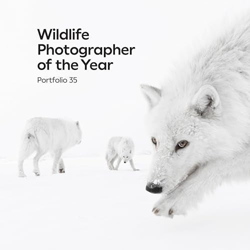 Three white arctic wolves move across a snowy landscape on a book cover.