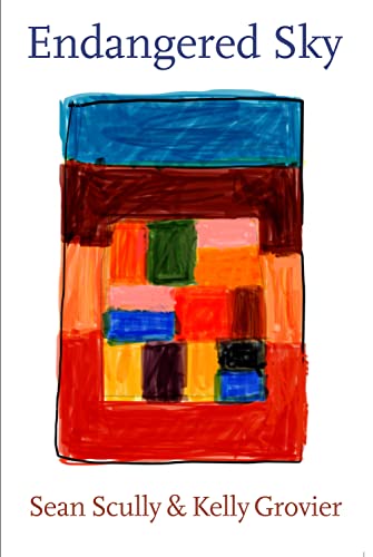 Book cover featuring an abstract painting of stacked, colorful rectangles.