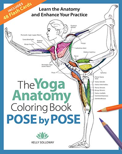 Yoga anatomy coloring book cover with illustrated pose and muscle details.