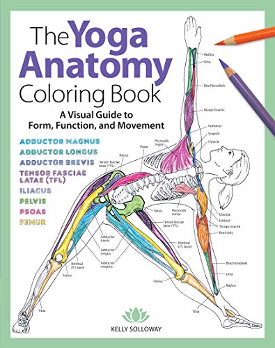 Yoga anatomy coloring book cover with illustrated skeletal and muscular systems.