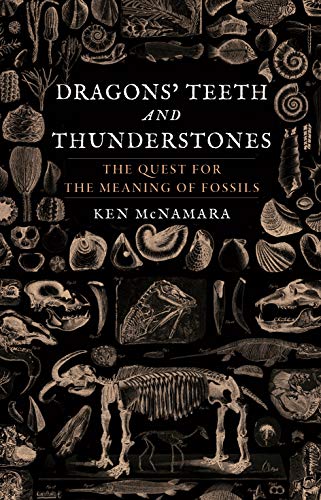 Book cover with fossil illustrations and title “Dragons’ Teeth and Thunderstones.”