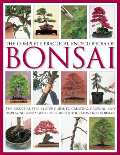 Book cover featuring multiple images of bonsai trees and gardening tools.