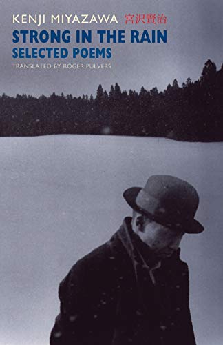 Book cover: “Strong in the Rain” with a man in a hat.