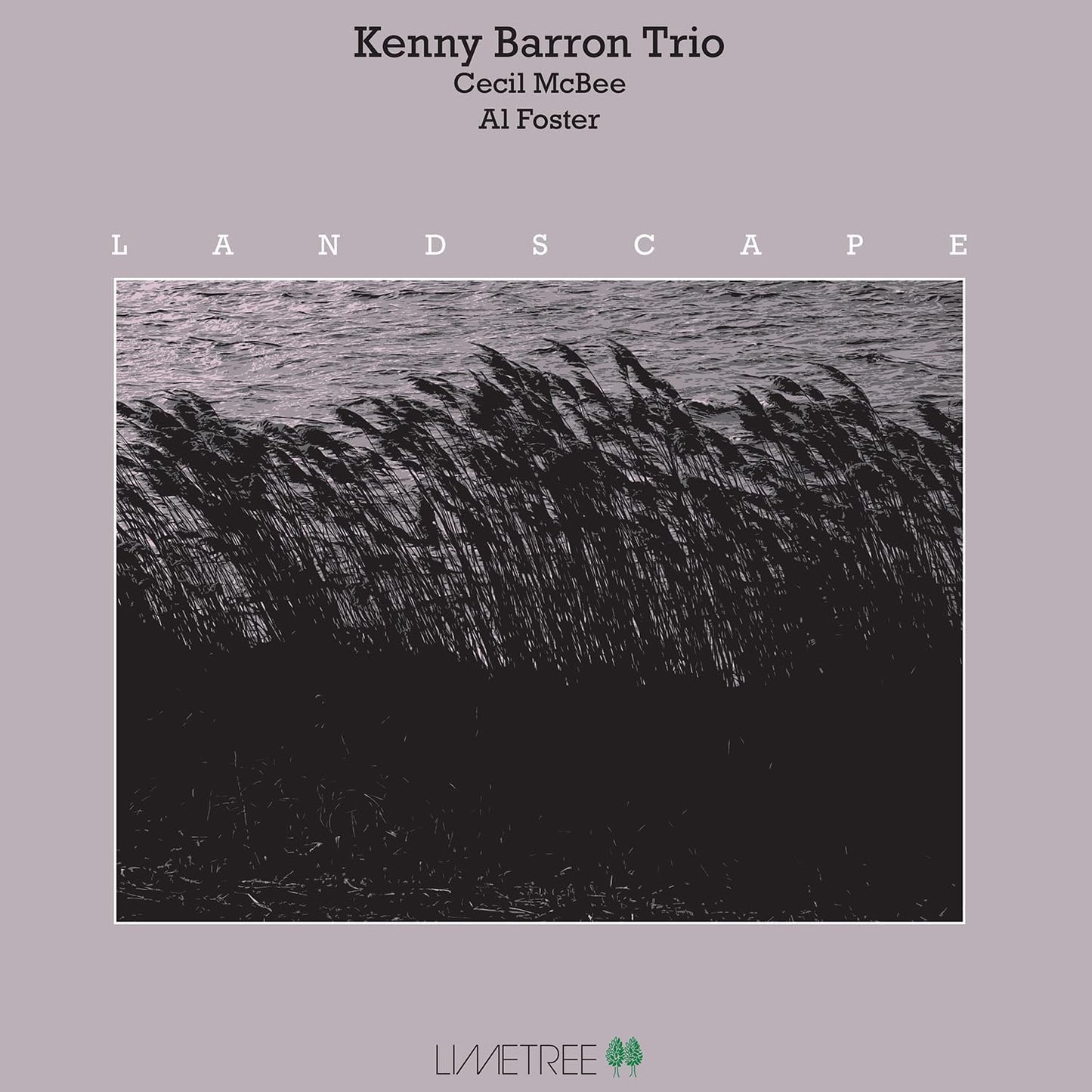 Album cover featuring tall grass blowing in the wind against a dark water background.