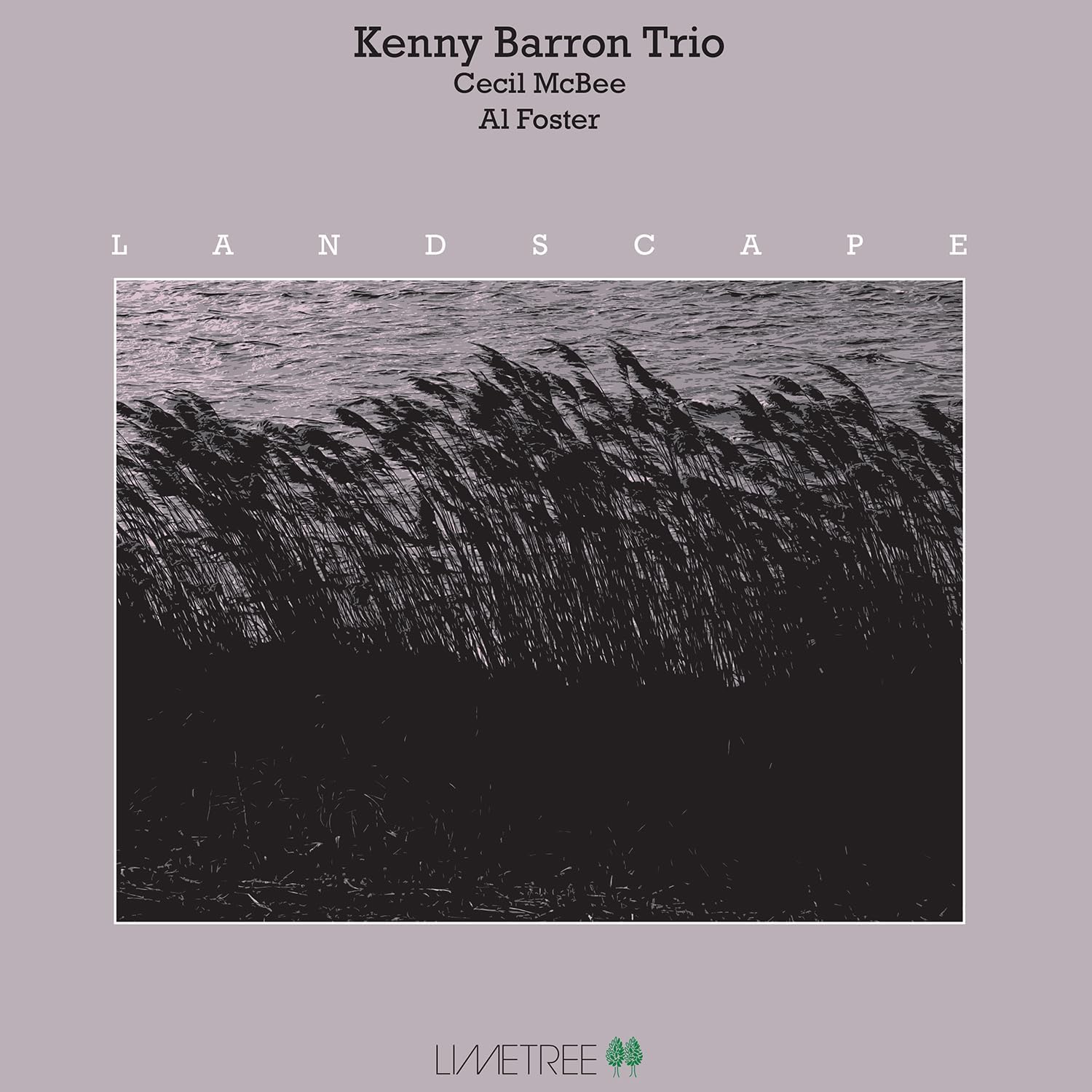 Album cover featuring tall grass blowing in the wind against a dark water background.