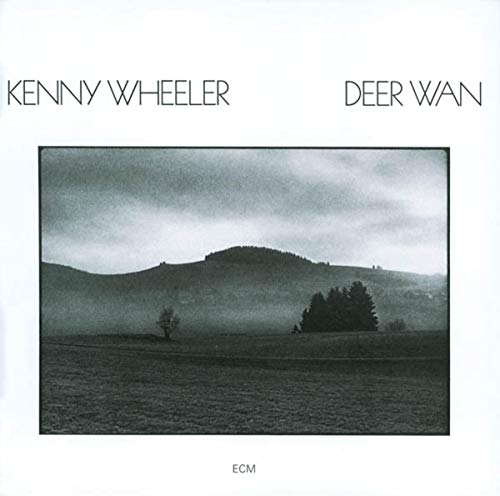 Album cover featuring a black and white landscape of a misty hill and trees.