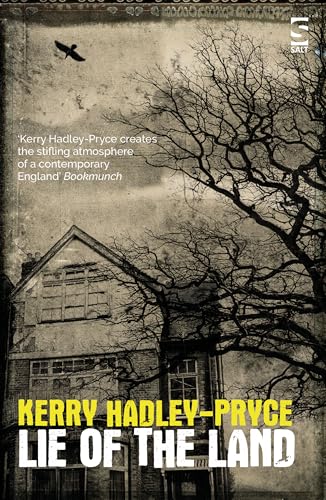 Book cover: dark house silhouetted against a cloudy sky, with a bird.