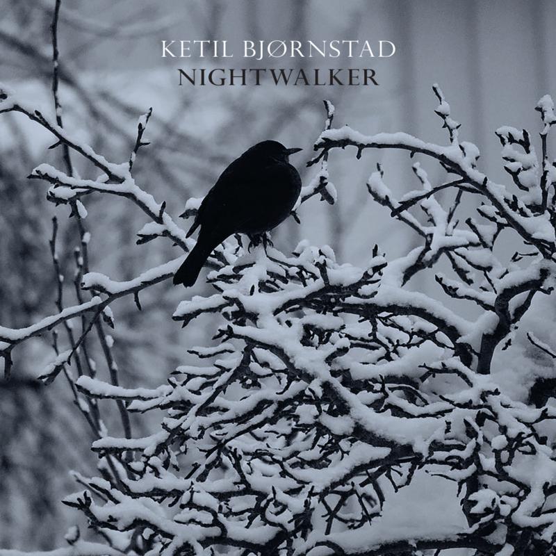 CD cover: black bird perched on snow-covered branches, grayscale.
