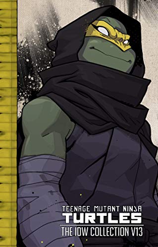 Close-up of Raphael, a green turtle ninja in a black hooded cloak.