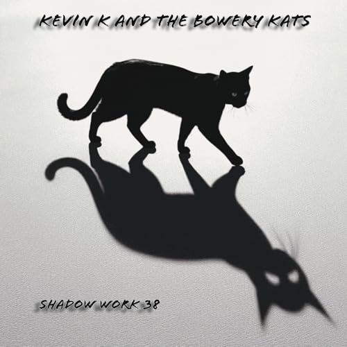 CD cover: black cat silhouette and its shadow on a white background.