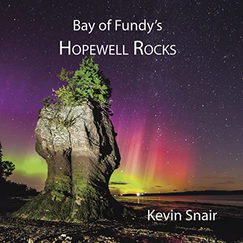 Hopewell Rocks formation under a starry night sky with aurora borealis.
