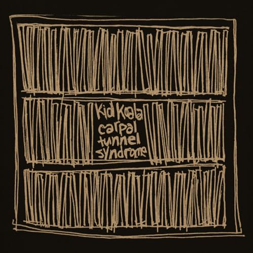 Vinyl record cover with sketched bookshelves and album title text.