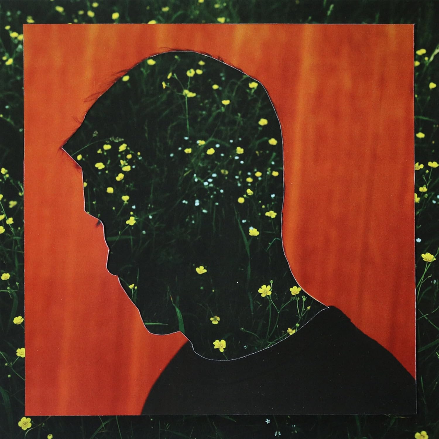 Vinyl album cover: Silhouette of a person against a floral background.